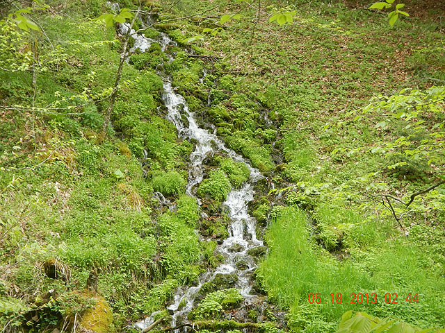camp 05-17-13 035.jpg -                                